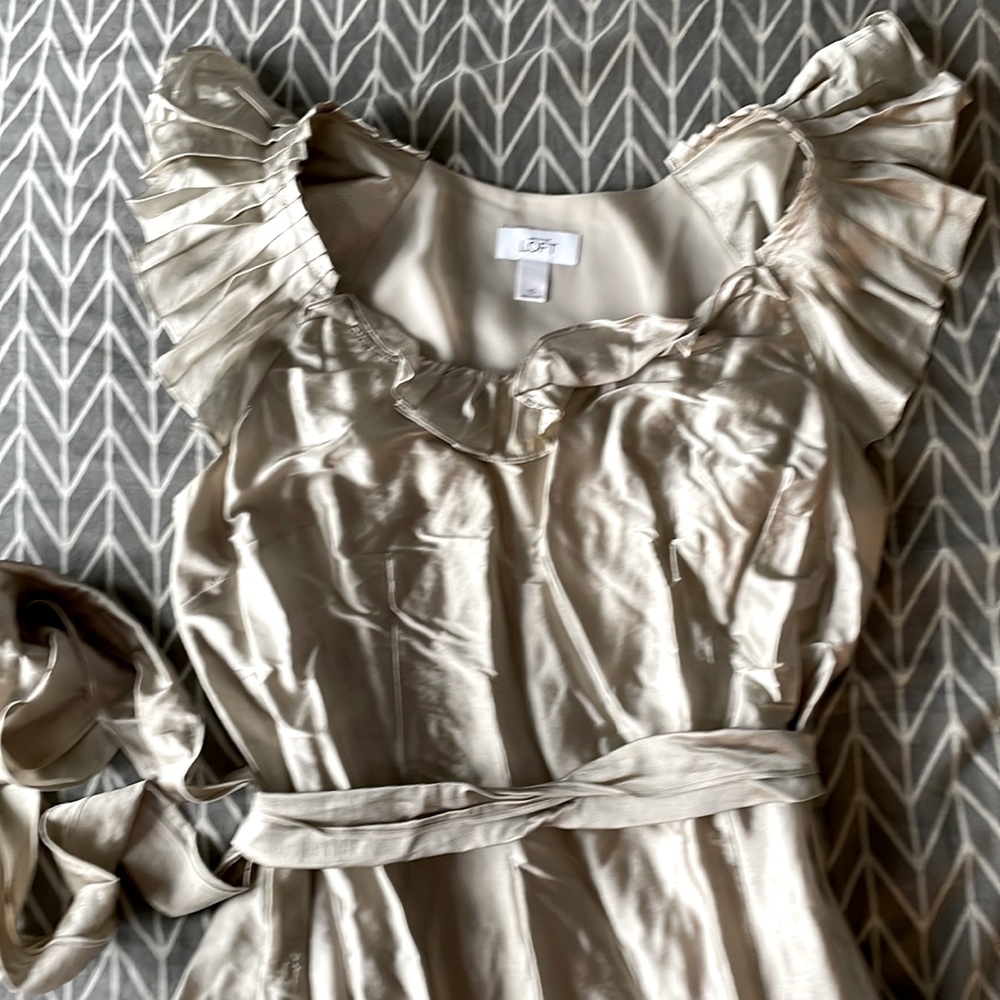 Ann Taylor Loft shimmery champagne colored A line dress. Size 10
